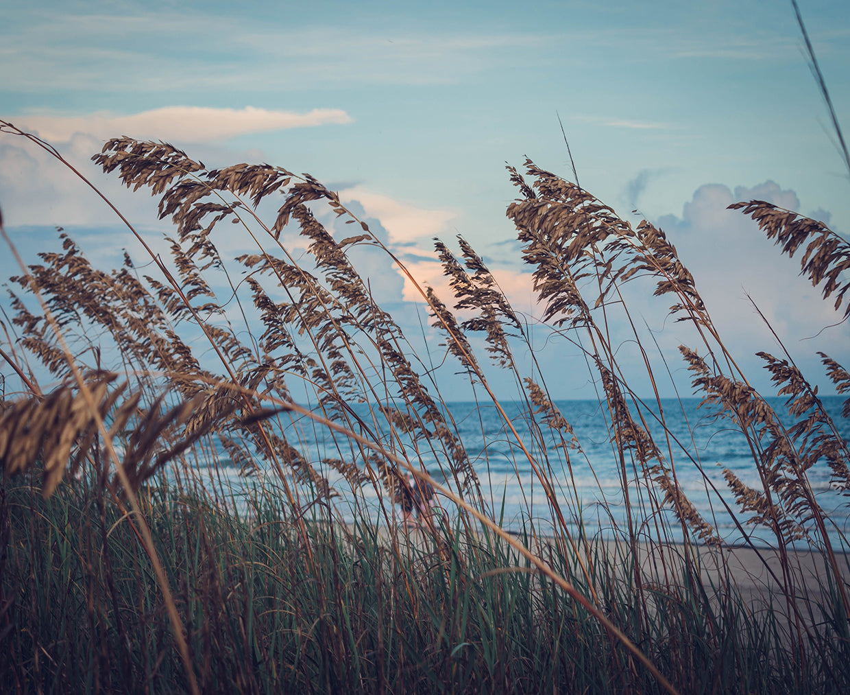 Feel the Air, Wear the Breeze:  The Brieza Tee with Coastal Soul