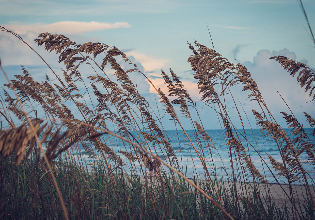 Feel the Air, Wear the Breeze:  The Brieza Tee with Coastal Soul